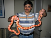 Nagesh's Farewell