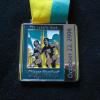 The 2006 Chicago Marathon medal