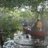 Sometimes it was easier to pull yourself through the mangrove tunnels as opposed to paddling